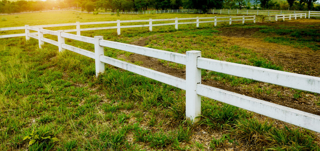 What To Look For When Buying Land For Homesteading – Mother Earth News - Vimarsana News